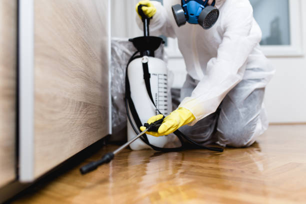 Best Wasp Removal Services  in Palermo, CA