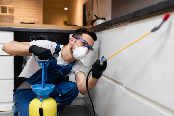 Best Local Pest Control Services  in Palermo, CA