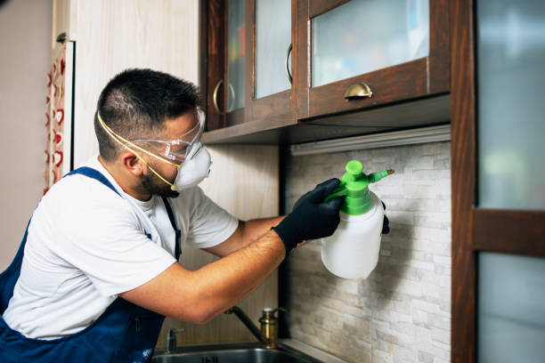 Best Pest Inspection Near Me  in Palermo, CA