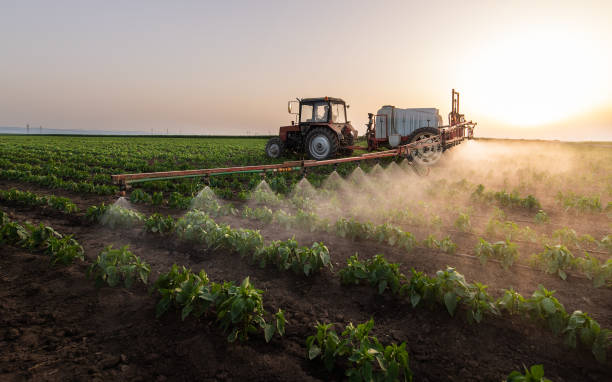 Best Wildlife Control Services  in Palermo, CA