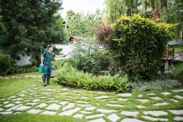 Best Affordable Pest Control Services  in Palermo, CA