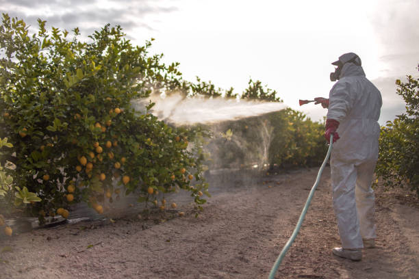 Best Bird Control  in Palermo, CA