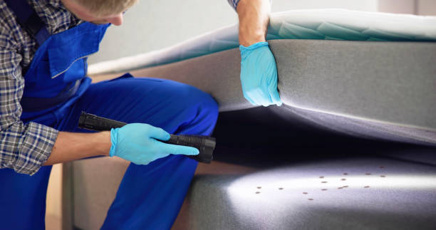 Best Rat Extermination Near Me  in Palermo, CA