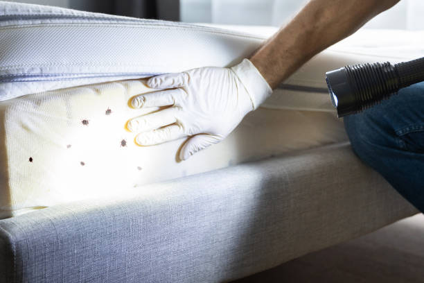 Best Pest Control Near Me  in Palermo, CA