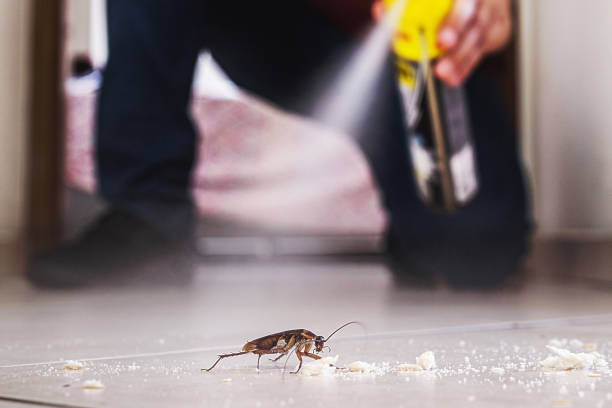 Best Bed Bug Extermination  in Palermo, CA