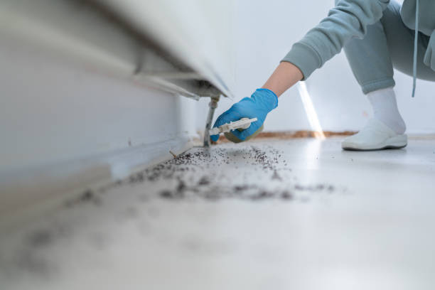 Best Mosquito Control Services  in Palermo, CA