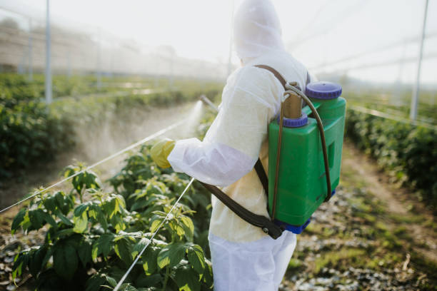 Professional Pest Control in Palermo, CA